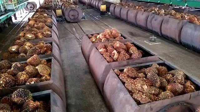 ASTRA AGRO LESTARI, PT