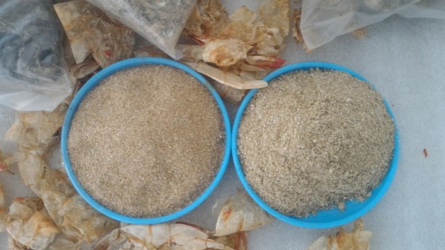 PASIFIK FISH MEAL, UD