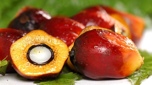 PRIMA SAUHUR LESTARI, PT 