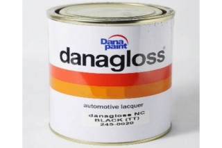 DANA PAINT INDONESIA, PT