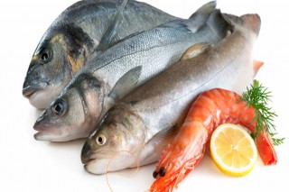 FIRST MARINE SEAFOODS/HOTAN JAYA GRAHA